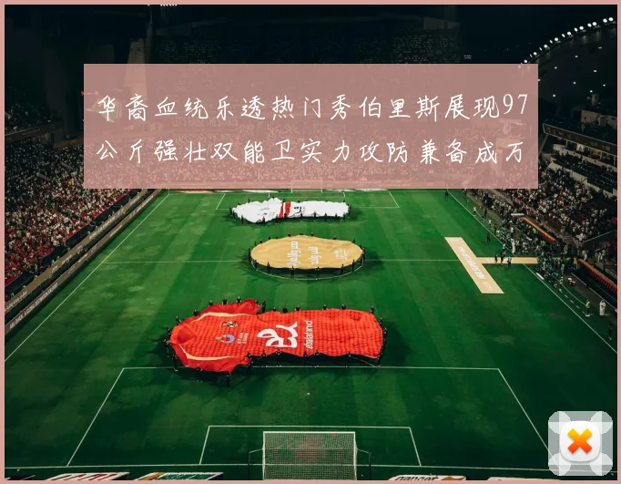 华裔血统乐透热门秀伯里斯展现97公斤强壮双能卫实力攻防兼备成万金油之选